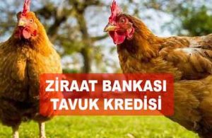Ziraat Bankası Tavuk Kredisi (SALMA & GEZER DAHİL)
