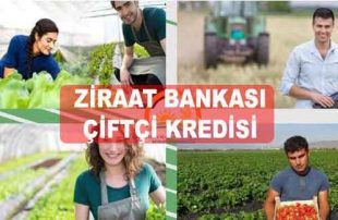 Ziraat Bankası Genç Çiftçi Kredisi (7 Yıl Vadeli Faiz Hesaplama)